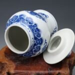 Blue and White Porcelain Ginger Jar Dragon and Phoenix Motif Hand Painted Chinoiserie Temple Jar (7)