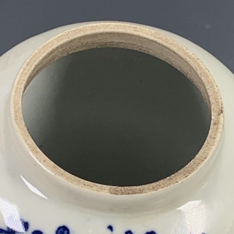 Blue and White Porcelain Ginger Jar with Bird & Plum Blossom Motif (6)