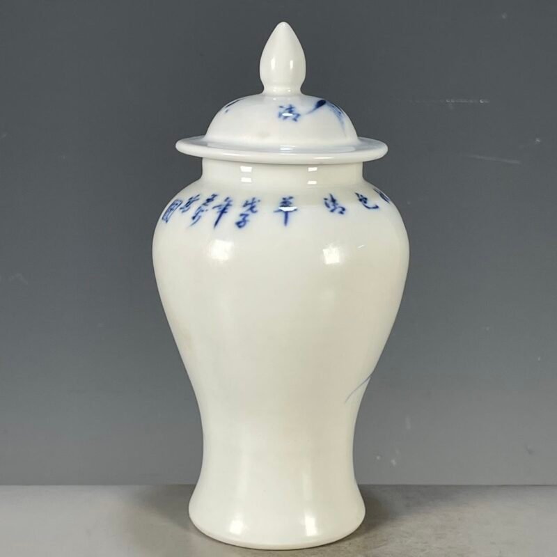 Blue and White Porcelain Ginger Jar with Lid 7.3 Chinoiserie Bird & Flower Motif (9)