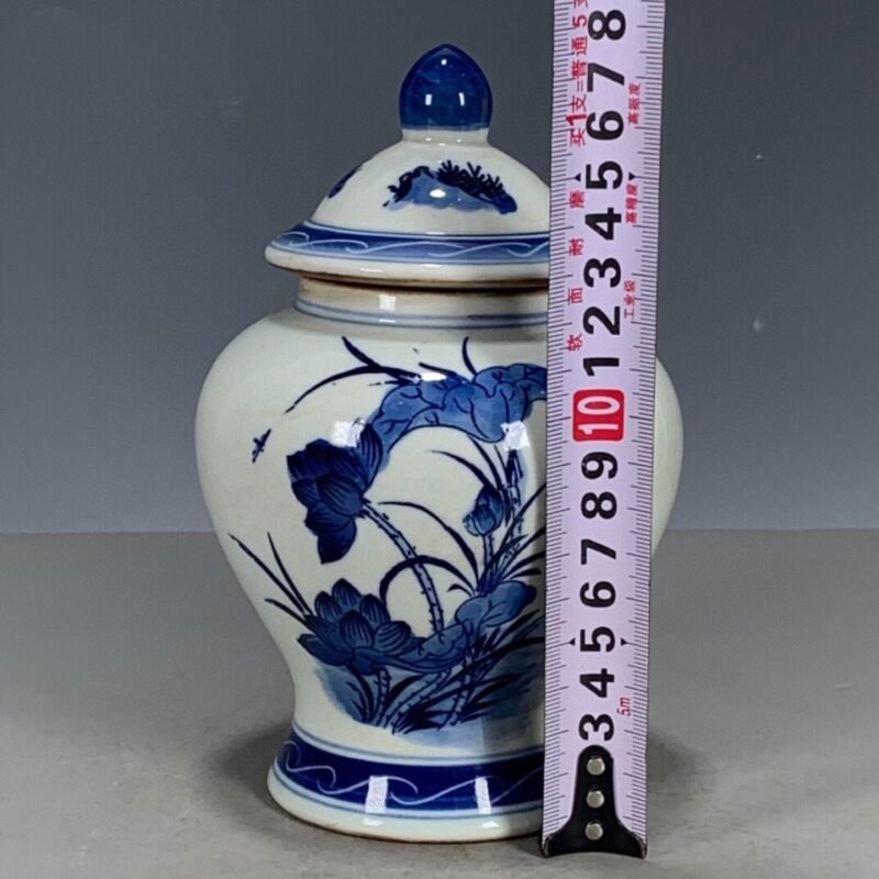 Blue and White Porcelain Small Lotus Ginger Jar with Lid (8)