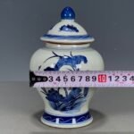 Blue and White Porcelain Small Lotus Ginger Jar with Lid (9)
