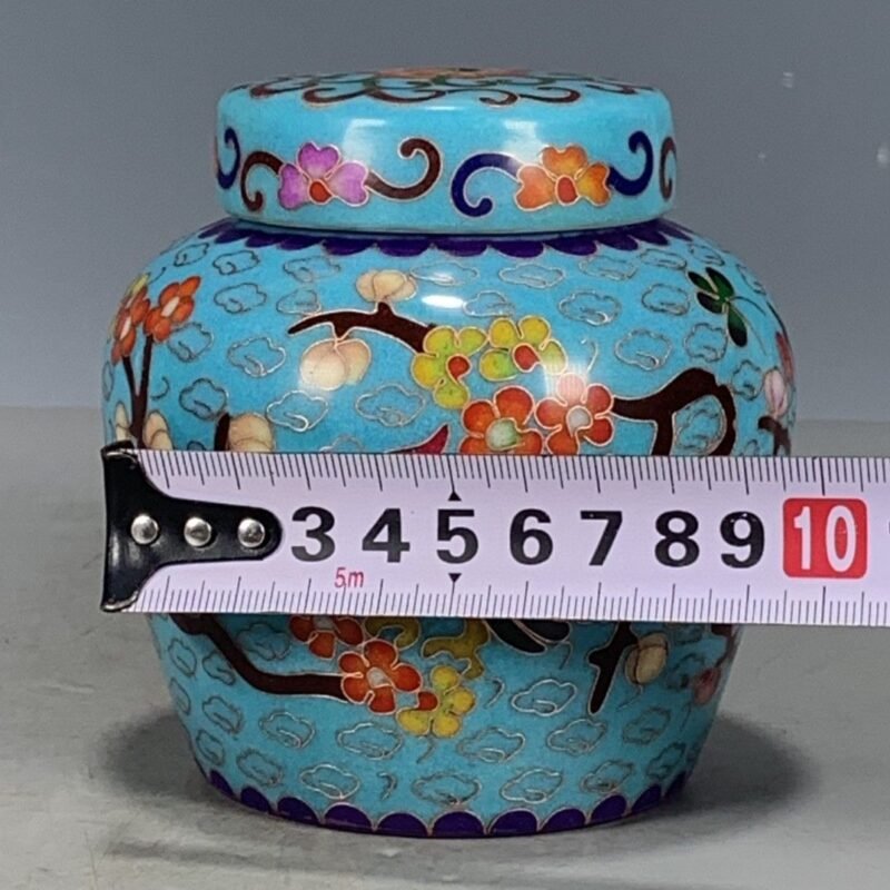 Cloisonne Style Bird & Plum Blossom Chinoiserie Ginger Jar, Turquoise Blue Lidded Porcelain Canister (5)