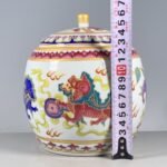 Colorful Enamel Lion Chinoiserie Ginger Jar, Lidded Porcelain Storage Jar (2)