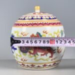 Colorful Enamel Lion Chinoiserie Ginger Jar, Lidded Porcelain Storage Jar (9)