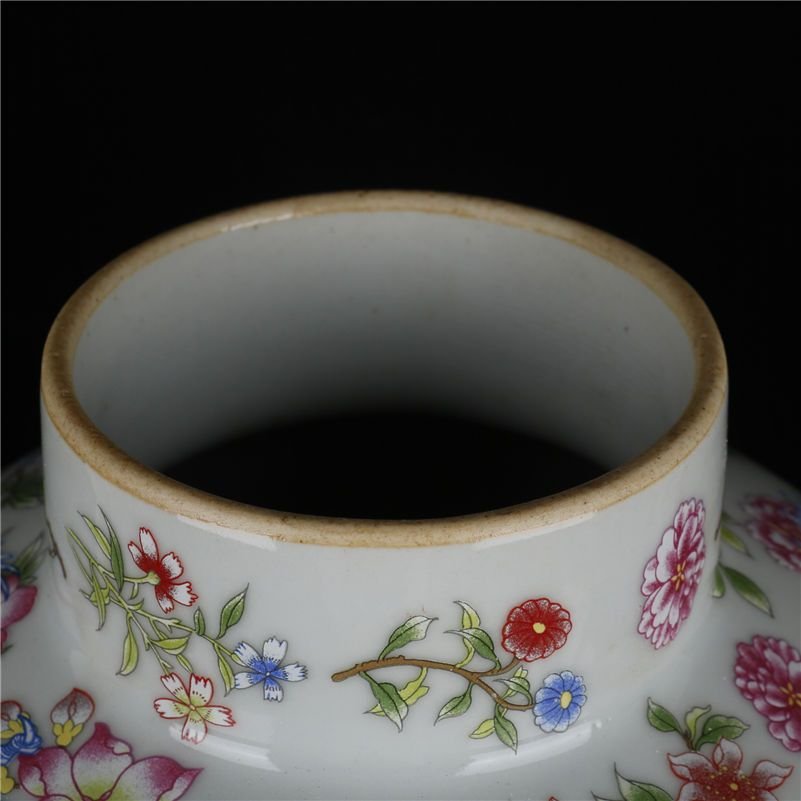 Famille Rose Blue Dragon Tall Ginger Jar (5)