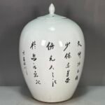 Hand Painted Foo Dog Chinoiserie Ginger Jar (4)