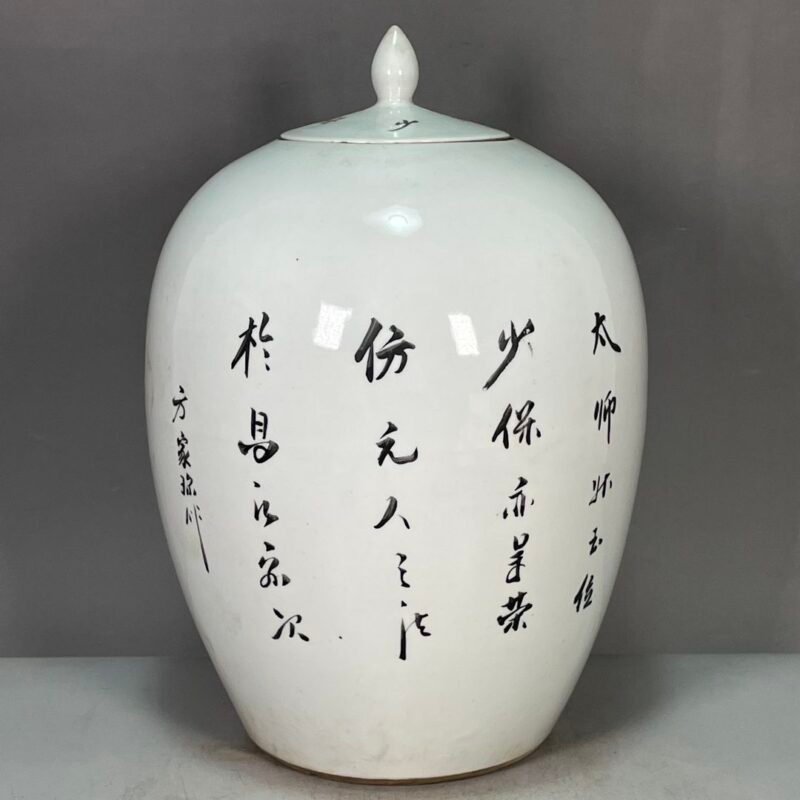 Hand Painted Foo Dog Chinoiserie Ginger Jar (4)