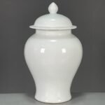 Modern White Porcelain Ginger Jar with Lid (1)