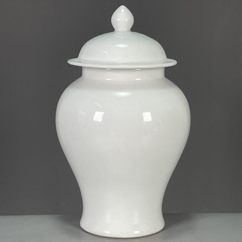Modern White Porcelain Ginger Jar with Lid (1)