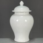 Modern White Porcelain Ginger Jar with Lid (3)