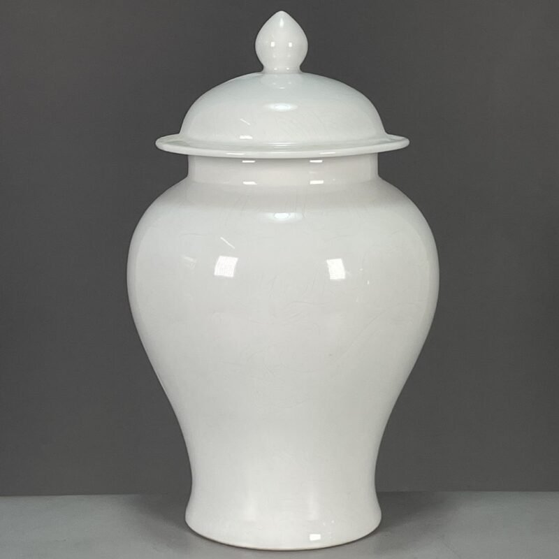 Modern White Porcelain Ginger Jar with Lid (3)
