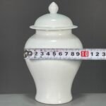 Modern White Porcelain Ginger Jar with Lid (4)