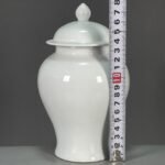 Modern White Porcelain Ginger Jar with Lid (5)