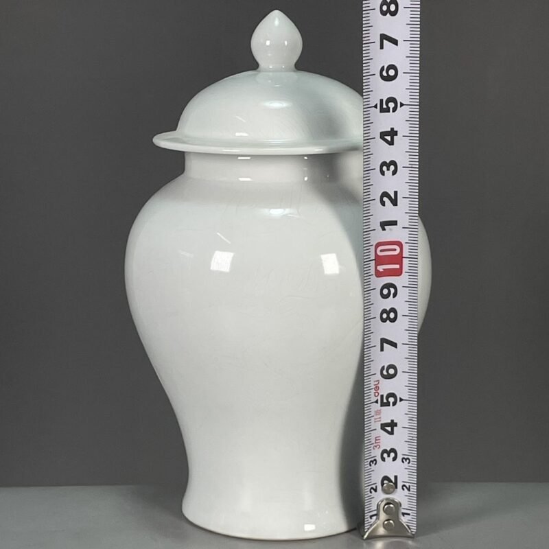 Modern White Porcelain Ginger Jar with Lid (5)