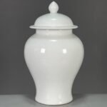 Modern White Porcelain Ginger Jar with Lid (6)