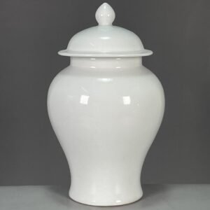 Modern White Porcelain Ginger Jar with Lid (6)