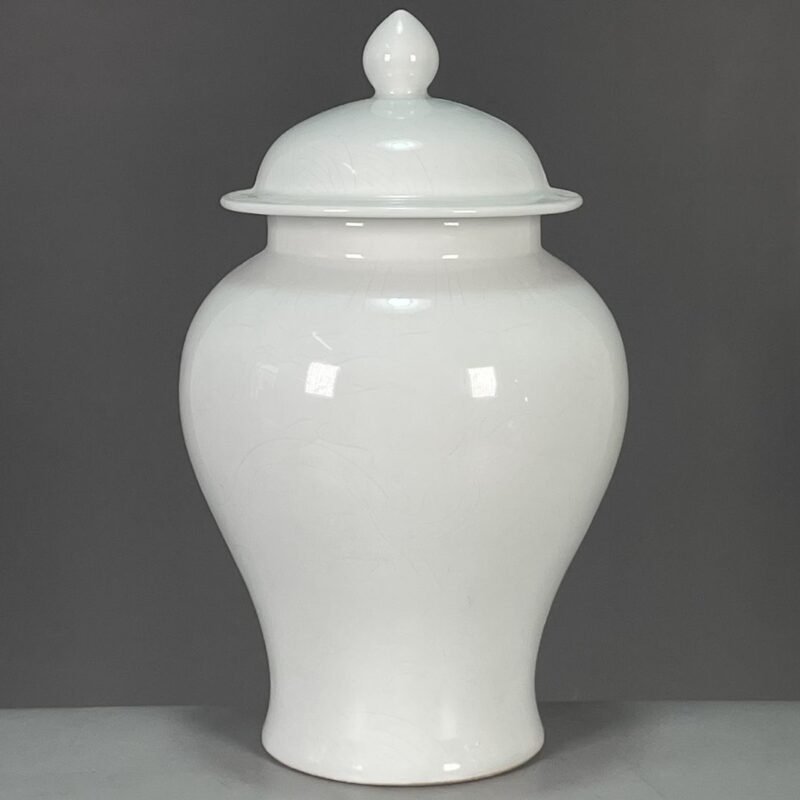 Modern White Porcelain Ginger Jar with Lid (6) Modern White Porcelain Ginger Jar with Lid (6)