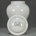 Modern White Porcelain Ginger Jar with Lid (7)