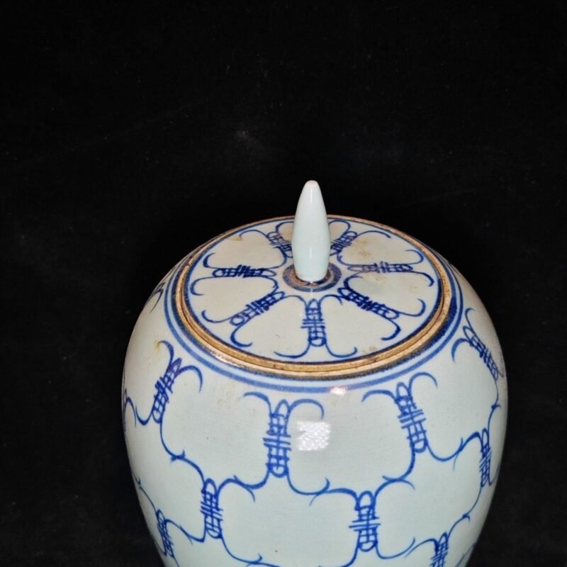 Pair of Vintage Blue and White Shou Longevity Ginger Jars with Lid (1)