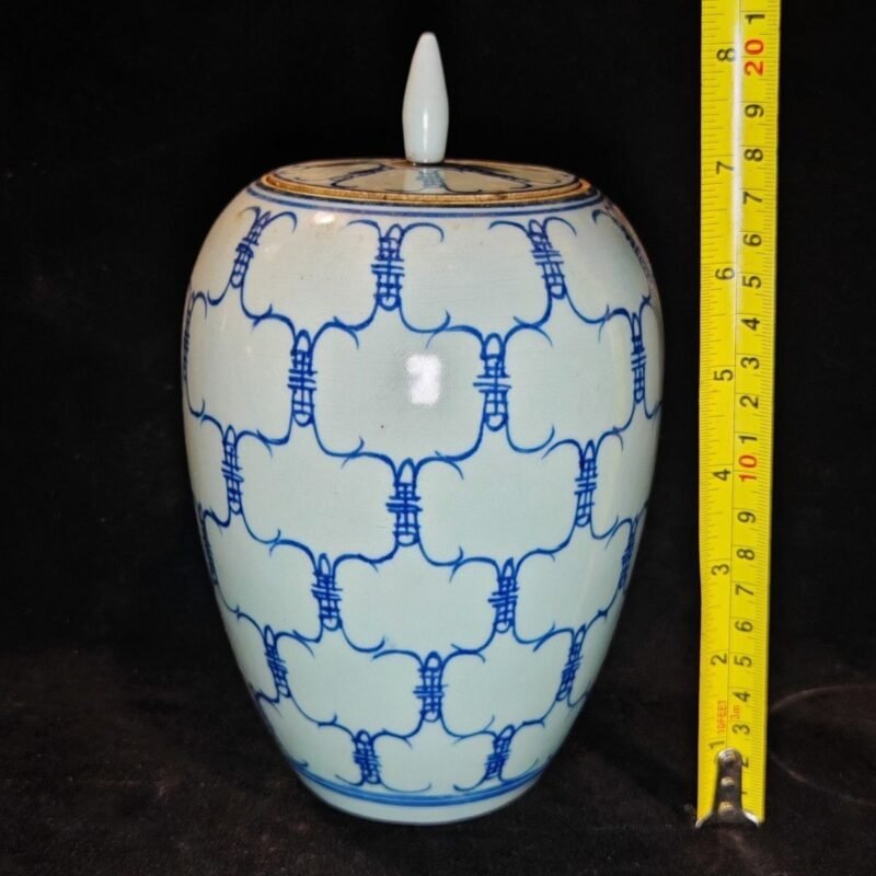 Pair of Vintage Blue and White Shou Longevity Ginger Jars with Lid (2)
