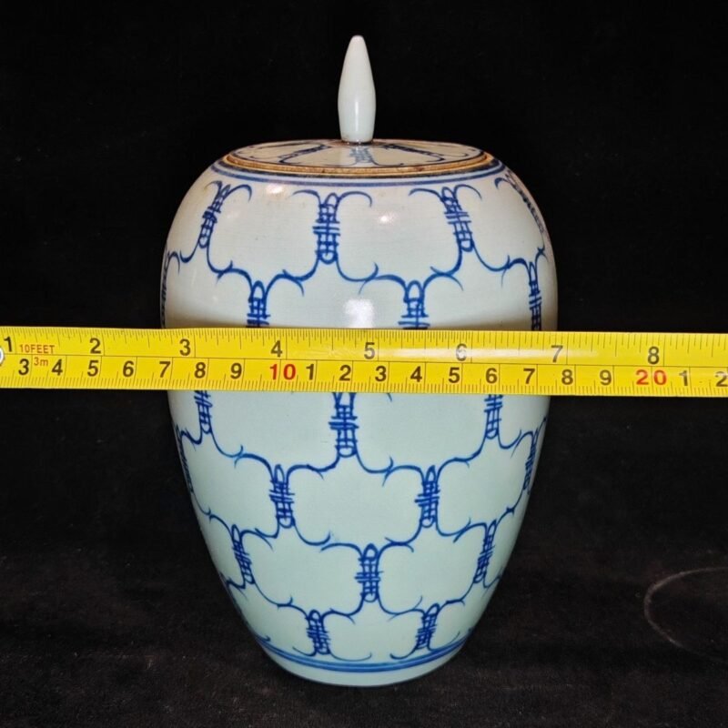 Pair of Vintage Blue and White Shou Longevity Ginger Jars with Lid (9)