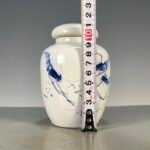 Hand Painted Blue & White Ceramic Ginger Jar with Lid, Small Chinoiserie Vase for Home Decor (3)