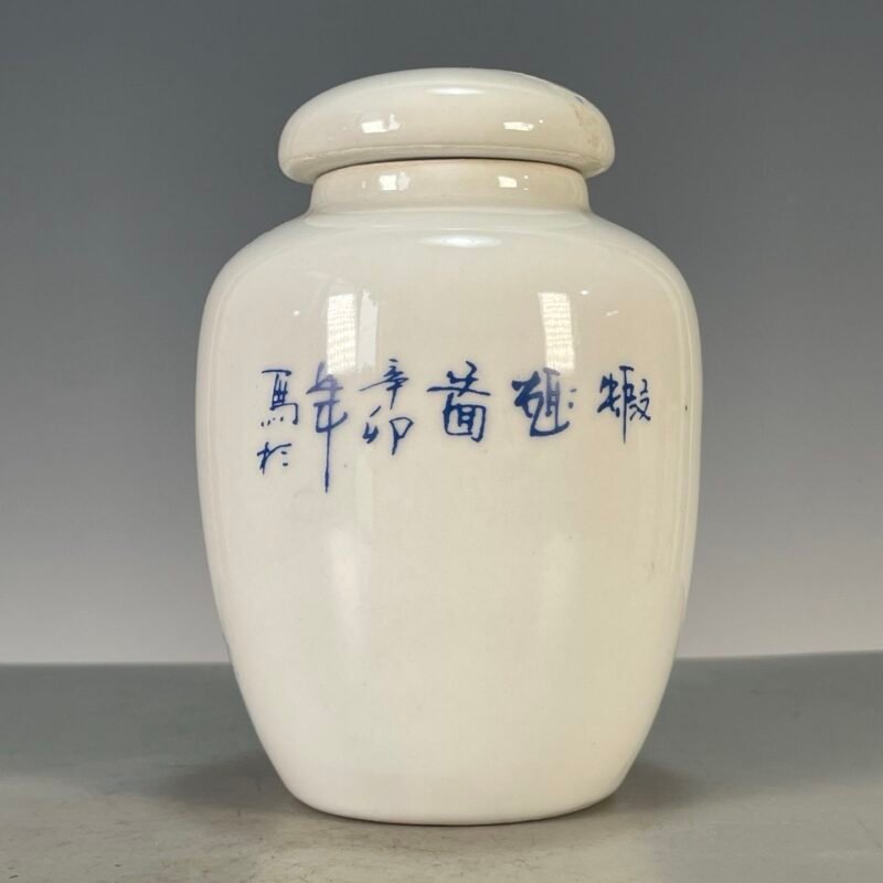 Hand Painted Blue & White Ceramic Ginger Jar with Lid, Small Chinoiserie Vase for Home Decor (6)